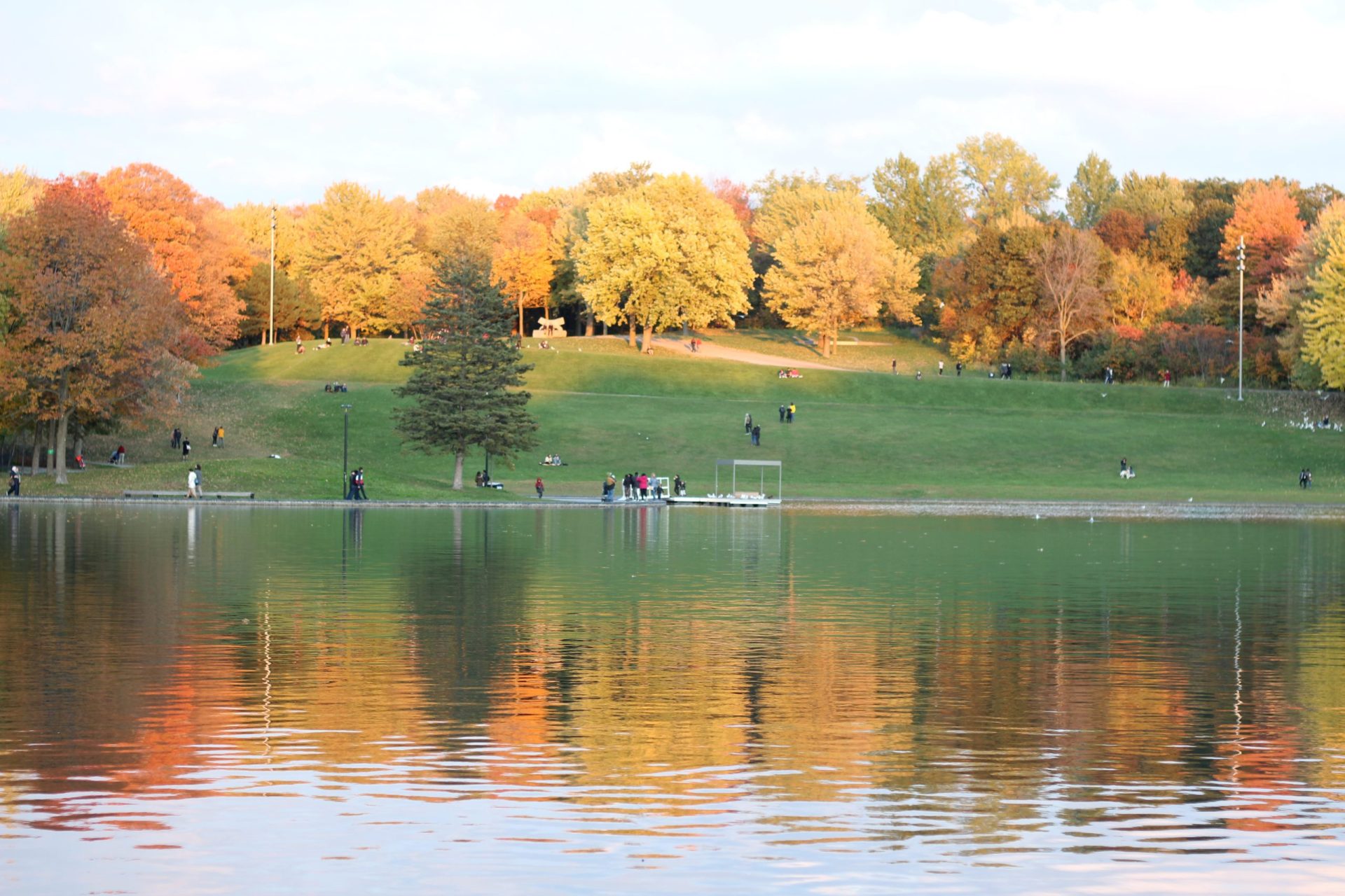 Balade au Mont Royal