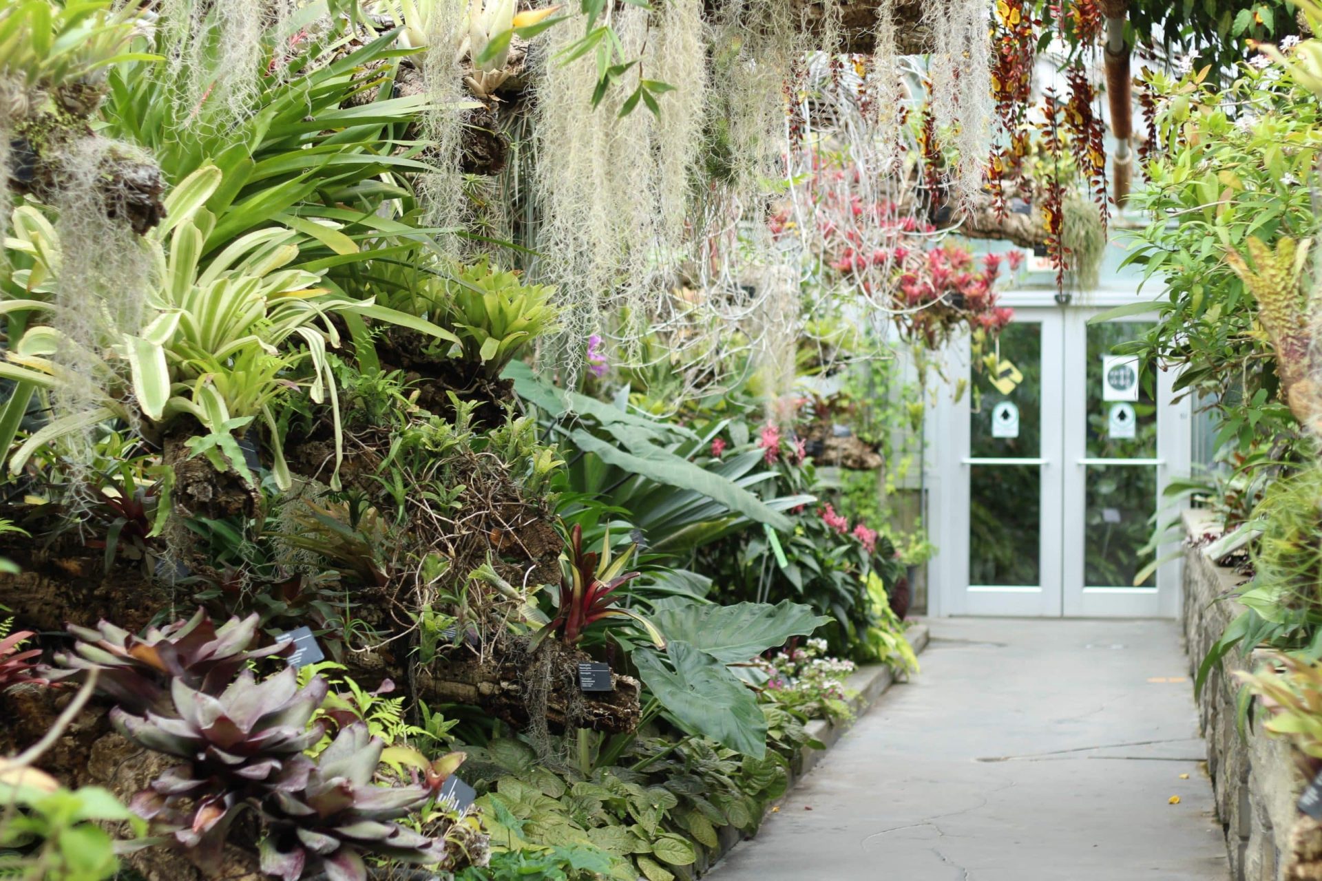 Le Jardin Botanique